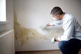 Odon, IN Mold Removal Services Company